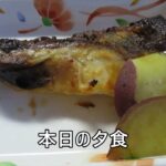 糖尿病患者の食事３6 糖尿病の治療は自己管理の徹底が求められます。貴方の日々管理は守られていますか？