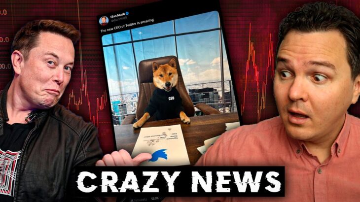 6 HUGE Crypto News Stories Shaking Markets! [Matic, Bitcoin, Dogecoin, NFTs]