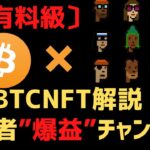 ビットコインBTC NFTの概要とSparrow ウォレットの使い方、購入方法を解説【爆益の大チャンス!?】