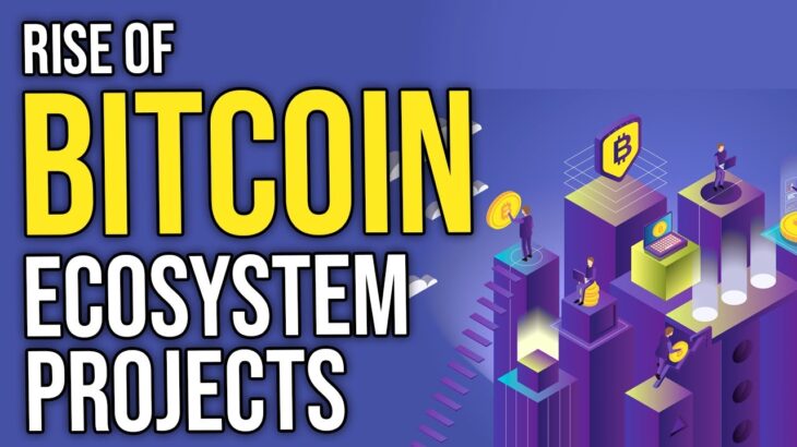 Bitcoin Ecosystem Projects  |  Bitcoin Defi, Bitcoin Sidechains, Bitcoin NFT, Bitcoin Smart Contract