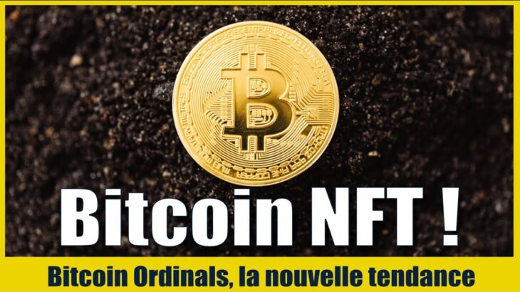 Bitcoin NFT : les ordinals c’est quoi ? comment fonctionne les NFT sur Bitcoin ?