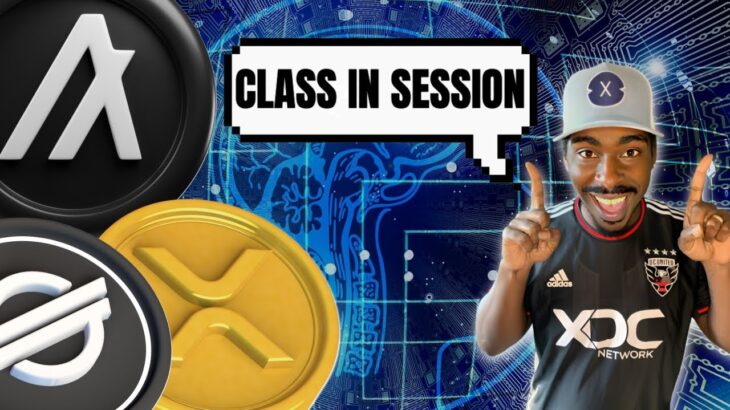 CLASS IN SESSION: XLM Space Force NFT, Wadzpay AMA, SEC v Ripple Lawsuit Update ⚠️