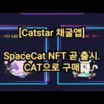 [Catstar 채굴앱] SpaceCat NFT 곧 출시. CAT으로 구매