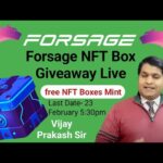 Forsage NFT Box Giveaway Live !! Forsage nft boxes mint !! forsage nft new update today !!