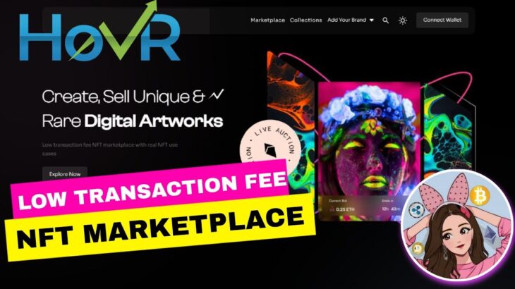 HOVR NFT MARKETPLACE (CREATE AND SELL YOUR NFT’S) LOW TRANSACTION FEE