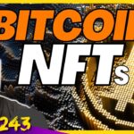 Learning the Bitcoin NFT Meta from Experts