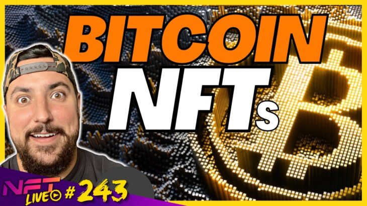 Learning the Bitcoin NFT Meta from Experts