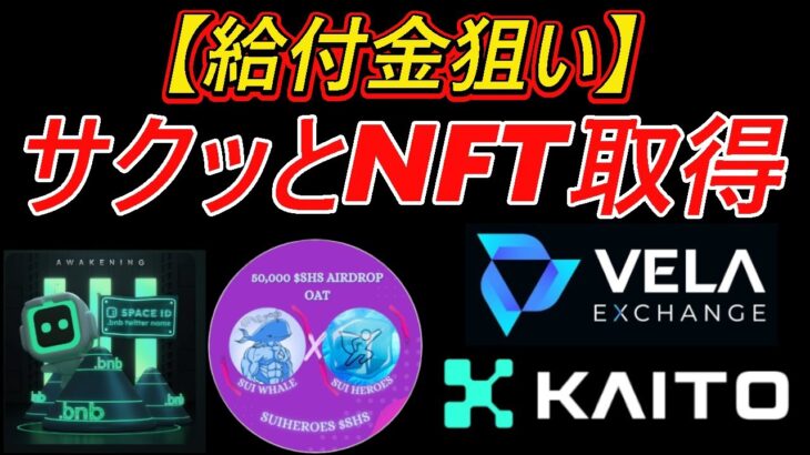 【給付金狙い】サクッとNFT取得