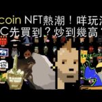 [NFT 中文] Bitcoin NFT會係下一個trend？點解突然成為話題，點樣先買到？有咩風險要留意 btc ordinals inscriptions punks NFT news 新聞 香港