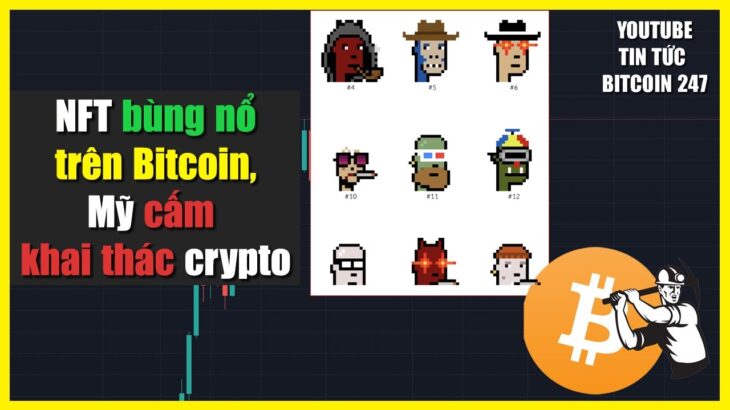 NFT bùng nổ trên Bitcoin, Mỹ muốn cấm khai thác crypto?