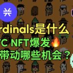 Ordinals是什么？BTC NFT爆发会带动哪些机会？#btc #btcpunk #stack #nft