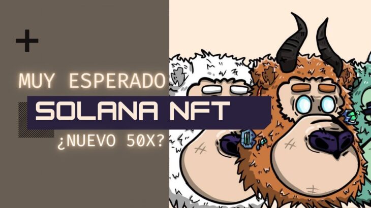 PROYECTO DE NFT ART EN SOLANA CON MUCHO HYPE | ¿POSIBLE 50X?