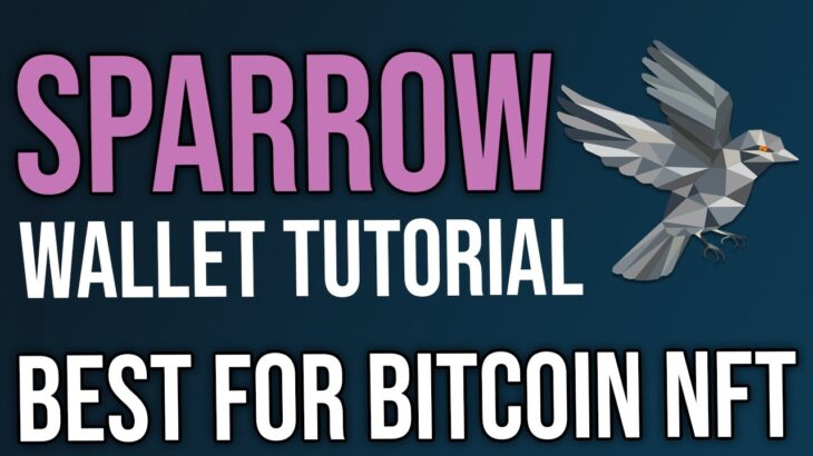 Sparrow Wallet Tutorial  |  Ordinals Bitcoin Wallet  |  Best Wallet for Bitcoin NFT in HINDI