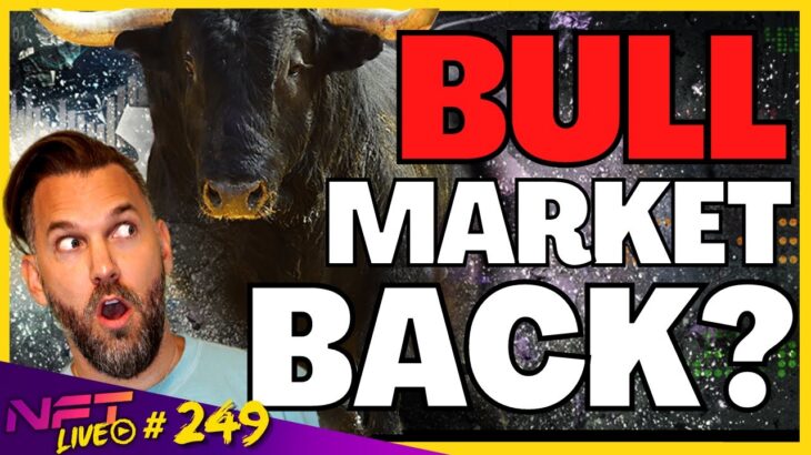 The Crypto and NFT Bull Market is Back?!