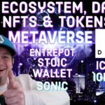 The Internet Computer Ecosystem, Dapps and Nft Marketplaces