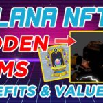 Top Hidden Gems within Solana NFT’s