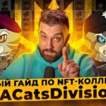 UACatsDivision: полный гайд по NFT-коллекции