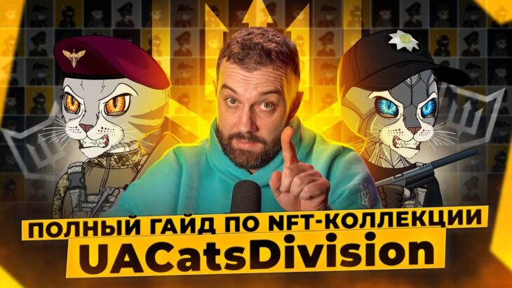 UACatsDivision: полный гайд по NFT-коллекции