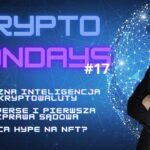 Wraca hype na NFT? Sztuczna inteligencja i kryptowaluty. SEC vs. Everybody| Crypto Mondays #17