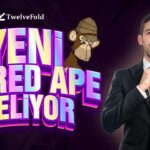 Yeni Bored Ape Geliyor !!! TwelveFold Bitcoin NFT’leri ? Bu Hype Zengin Eder