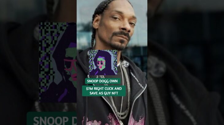 million dollar nfts own by justin bieber and snoop Dogg ? #nft #snoopdogg #justinbieber #shortvideo