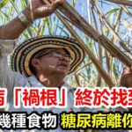 台灣血糖專家：糖尿病「禍根」終於找到了！只要不吃這幾種食物，血糖一輩子不會升高，糖尿病離你遠遠的