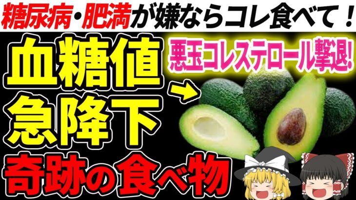 糖尿病と肥満を防ぐ奇跡の食べ物。血糖値を上げない食生活で肥満予防【ゆっくり解説】