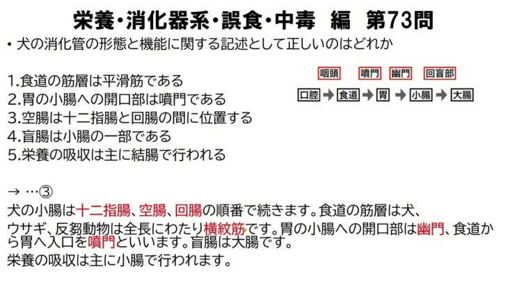 国家試験対策　問題解説集　栄養など③