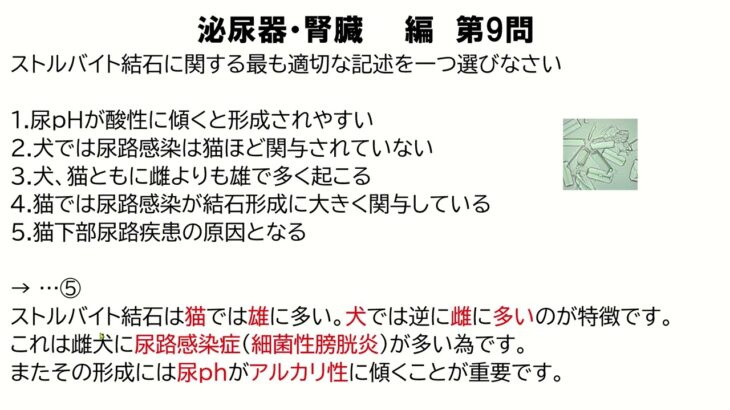 国家試験対策問題解説集　泌尿器・腎臓①