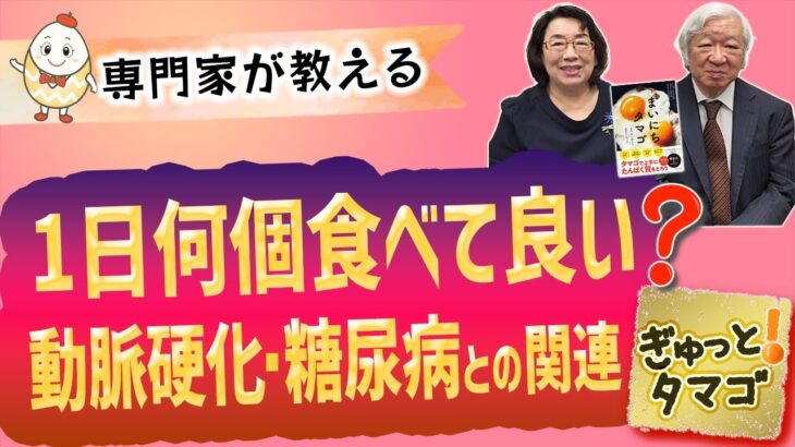 【専門家が教える】卵と動脈硬化・糖尿病との関連は？1日何個食べて良い？ ～ぎゅっと！タマゴ～