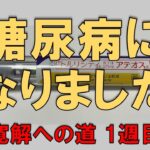 【糖尿病からの脱出】寛解に向けて。定期検査までの間に実施した内容を1週間ごとにご報告【1週目】