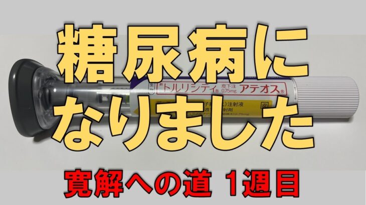 【糖尿病からの脱出】寛解に向けて。定期検査までの間に実施した内容を1週間ごとにご報告【1週目】