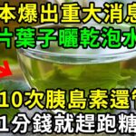 日本爆出重大消息！這片葉子你家樓下就有，撿來泡水喝1次，比打10次胰島素還管用！血糖從17.8降至5.2，血栓血脂瞬間化成渣！不花1分錢就趕跑糖尿病【養生常談】