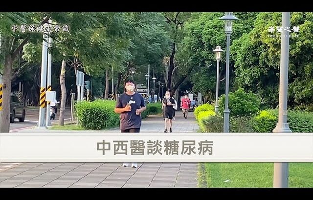 【中醫保健小常識】中西醫師談糖尿病 第114集