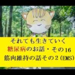 糖尿病のお話し・その16 筋肉維持の話の2  (EMS)