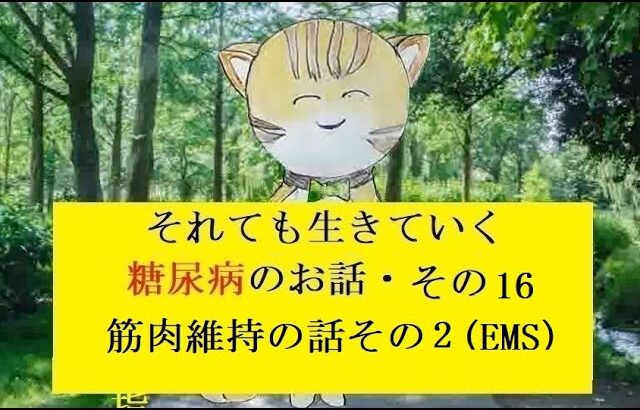 糖尿病のお話し・その16 筋肉維持の話の2  (EMS)