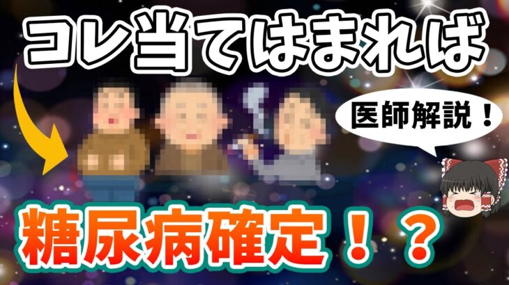 【ゆっくり解説】5個の質問でかんたんに糖尿病診断予測！？について医師が解説します。