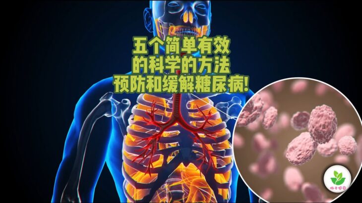 糖尿病防治秘籍！5个简单科学方法助您预防和缓解糖尿病 – YouTube热门推荐