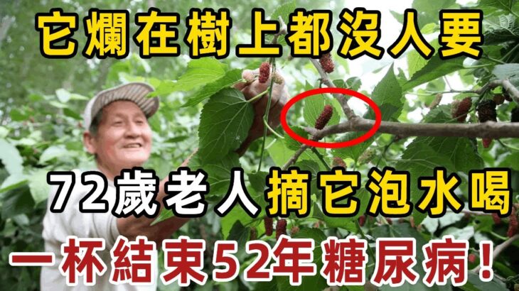 它是糖尿病的天敵，卻爛在樹上都沒人要！72歲老人摘它泡水喝，一杯血糖從9.8降到4.0，結束了52年的糖尿病【健康管家】