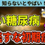 【ゆっくり解説】見逃さないで！糖尿病の9つの初期症状と予防策