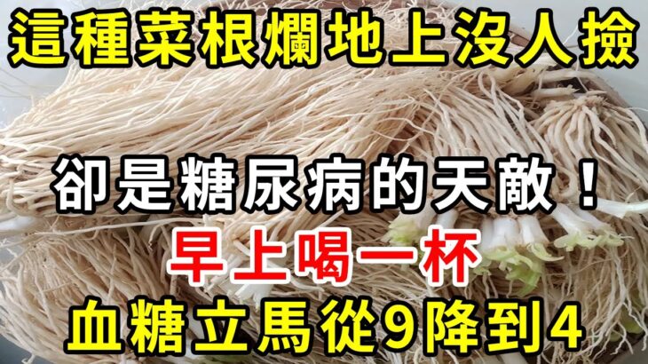 這種菜根不要錢，卻是糖尿病的「天敵」，早上喝一杯，血糖立馬從9.6降到4.0，從此血糖血壓平穩，血管乾淨，預防三高【養生驛站】