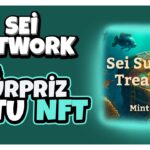 AİRDROP GARANTİLİ – SUNKEN TREASURE – Sei Network NFT Minti