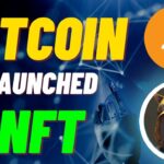 BREAKING NEWS 🐱‍🏍BITCOIN Launched NFTs 2023 || BIGGEST Upcoming NFT Projects & NFT News