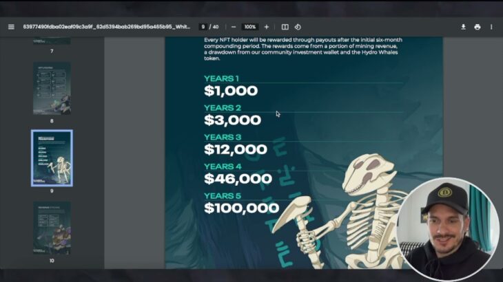 Beginner’s Guide: Hydro Whales Mining Club NFT 🐳