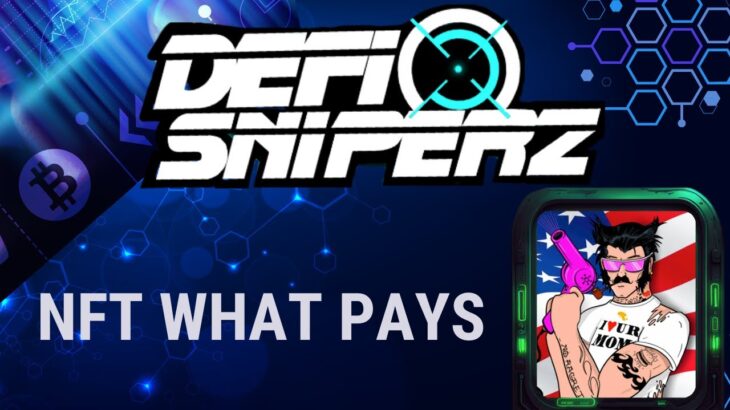 DEFI SNIPER / MINT NFT AND EARN EVERY MONTH PASSIVE INCOME / everything you need to know