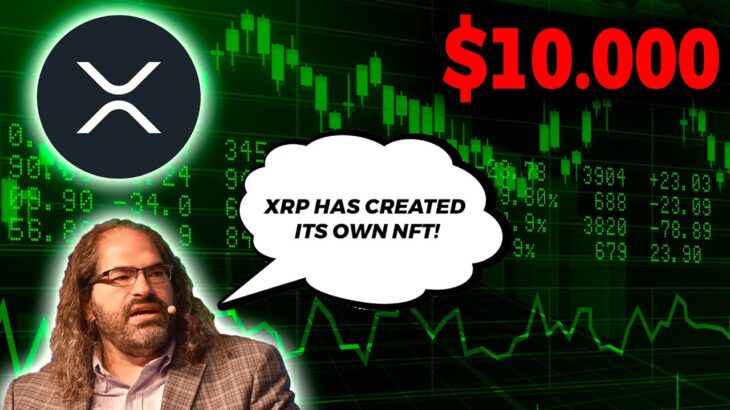 David Schwartz Revealed Ripple XRP Has Released NFT! XRP To $60000! 🚨