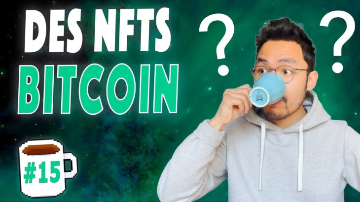 Des Ordinals NFT sur Bitcoin, la collection Moonbirds en perdition, la marque Clarins et les NFTs…