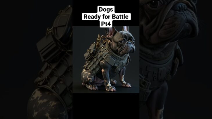 Dogs – Ready for Battle Pt4 #midjourney #ai #nft #crypto #puppy #puppyvideos #dog #warzone