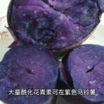 紫色蔬菜水果可能降低糖尿病II型风险， Anthocyanins in plants have properties that reduce the risk of type 2 diabetes