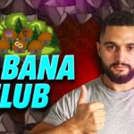 Kabana Club Review | Private Crypto Club with 4444 Unique NFT Mushrooms